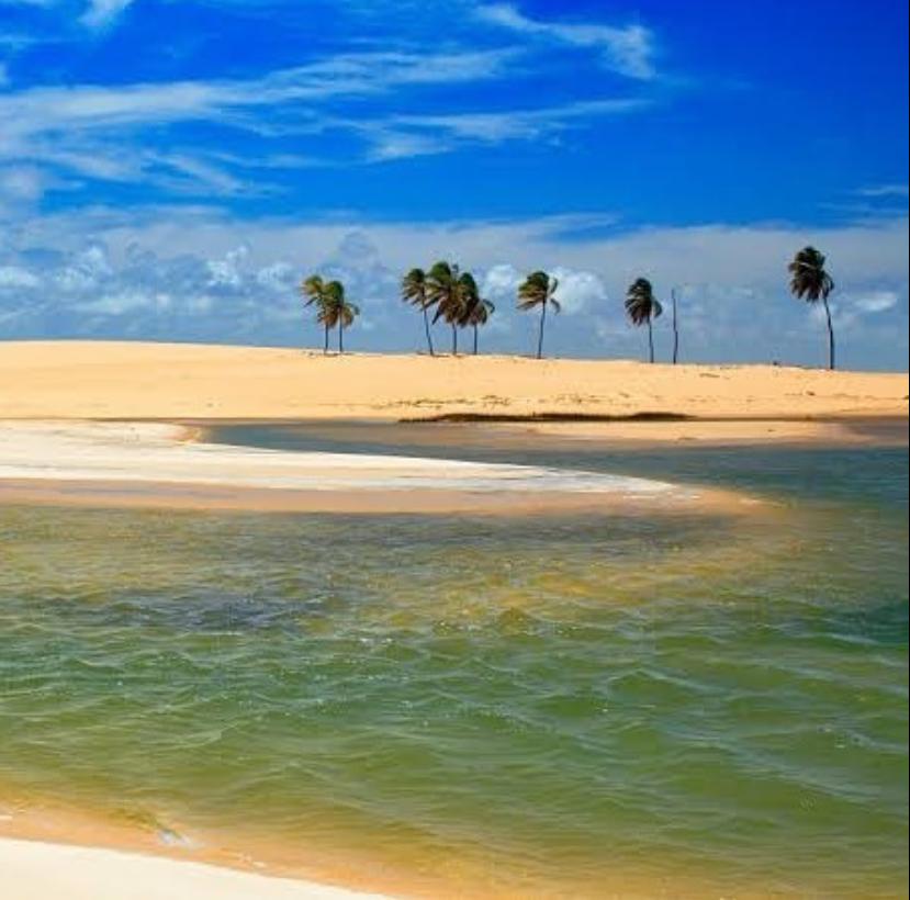 Ilhota com coqueiros e barco de pescador na Foz