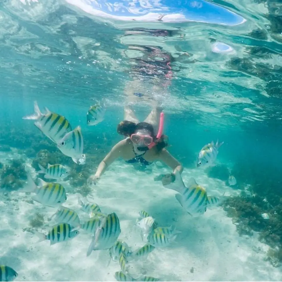 Mergulho com snorkel em Maragogi